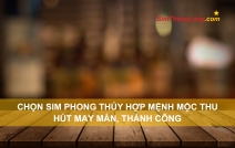 Chọn sim phong thủy hợp mệnh Mộc thu hút may mắn, thành công