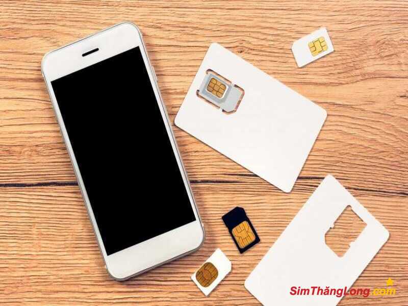 Yếu tố cân bằng âm dương rất quan trọng khi chọn sim cho mệnh Mộc