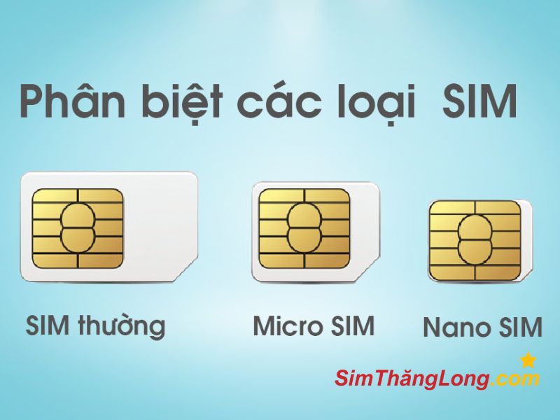 Các loại sim vật lý phổ biến