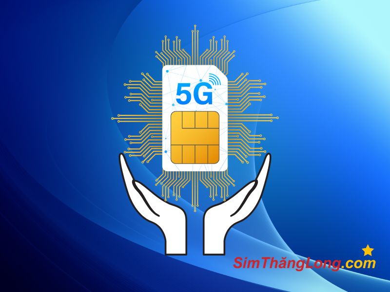 Cách bao quản và sử dụng sim đúng cách