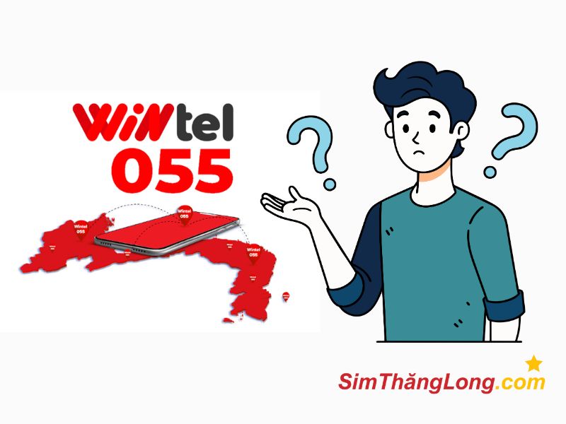 Sim Wintel là gì?