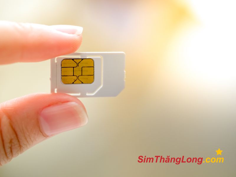 Niềm tin số điện thoại có thể thay đổi vận mệnh