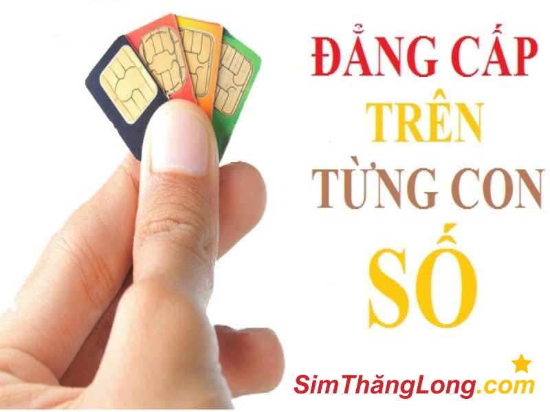 Quy trình thu mua sim số đẹp Đà Nẵng nhanh chóng, đơn giản