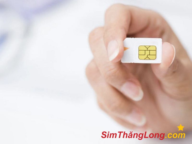 Tham khảo cách định giá sim trước để biết giá trị sim sở hữu