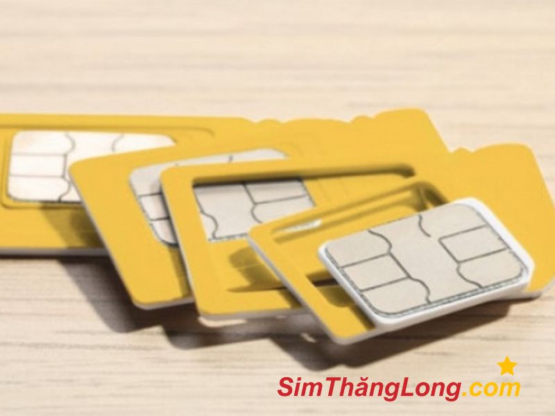 Thu mua sim số đẹp HCM giải ngân nhanh chóng