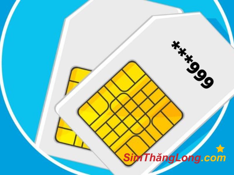 Thu mua sim số đẹp HCM hỗ trợ mọi lúc mọi nơi