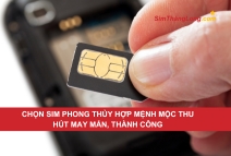 Thủ tục cầm cố sim số đẹp từ a đến z cập nhật 2025